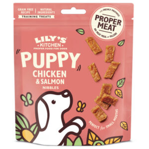Lily's Kitchen Puppy Chicken & Salmon 70 gr