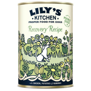 Lily's Kitchen Recovery Recipe 400 gr
